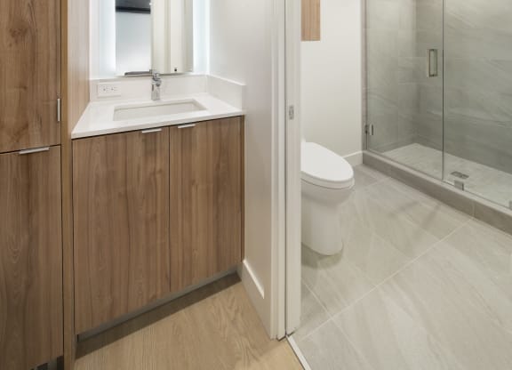 a bathroom with a sink toilet and a shower