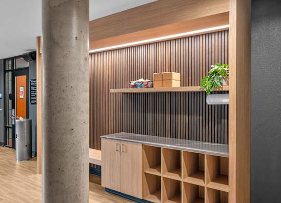Built in storage unit with wood slat backdrop at The Lyric Apartments, Washington, 98102