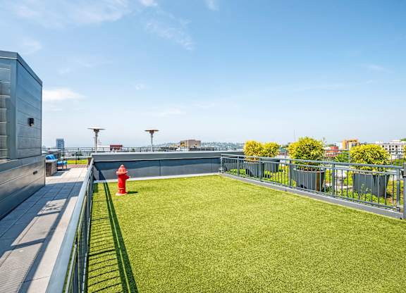 Rooftop dog park with artificial turf and railing at The Lyric Apartments, Washington