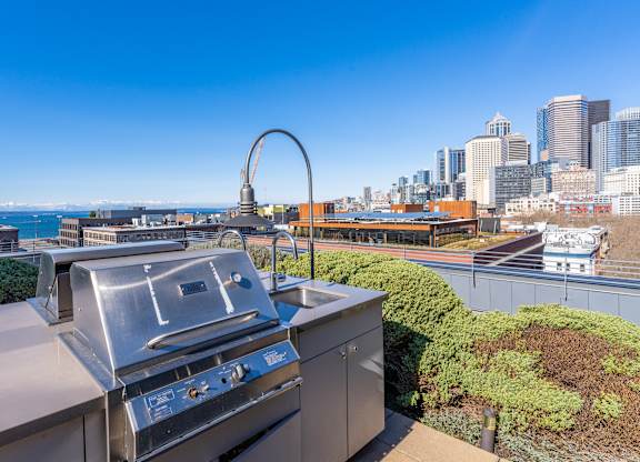 a barbecue grill with a view of the city