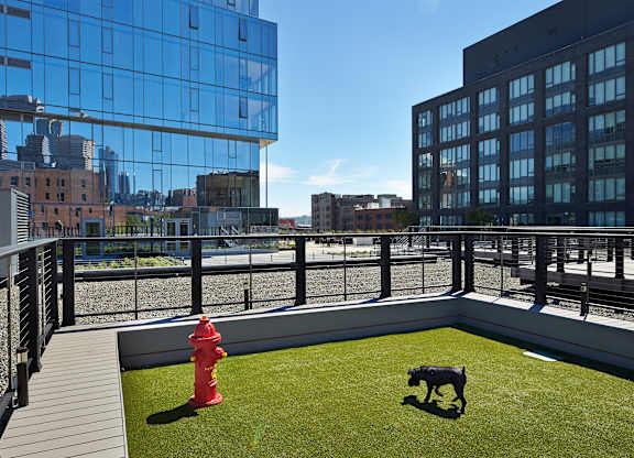 a roof terrace with a dog lawn and a fire hydrant