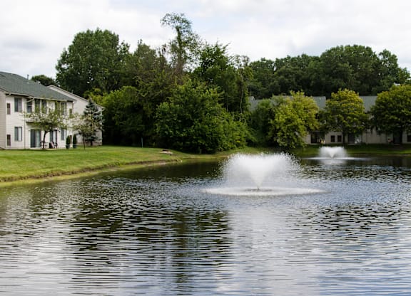 Fountain at Woodland Meadows, Michigan, 48035