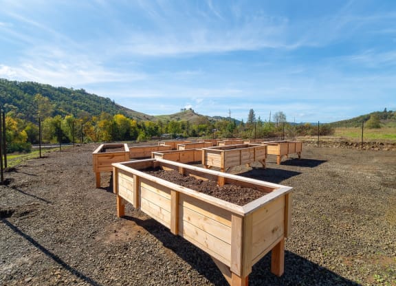 a row of raised garden beds in a field
