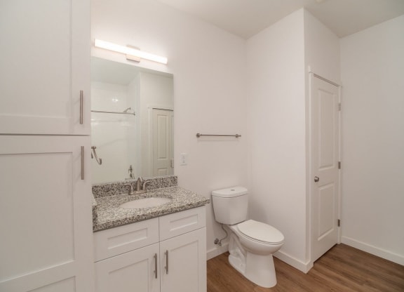a bathroom with a toilet and a sink and a mirror