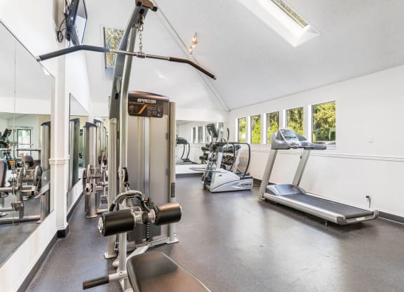 Enchanted Woods_Gym