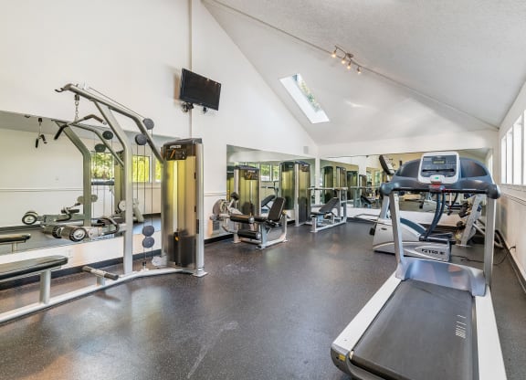 Enchanted Woods_Gym