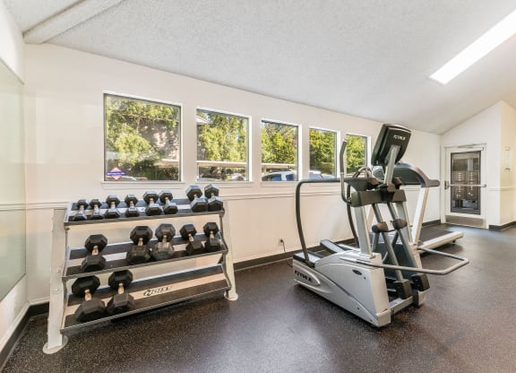 Enchanted Woods_Gym