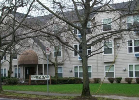 a building with a no parking sign in front of a tree
