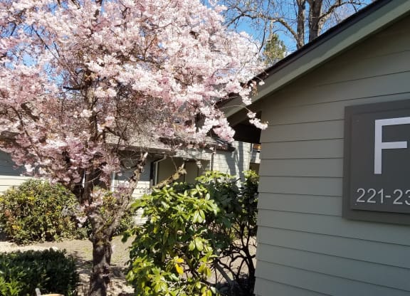 the front of a house with a flowering tree