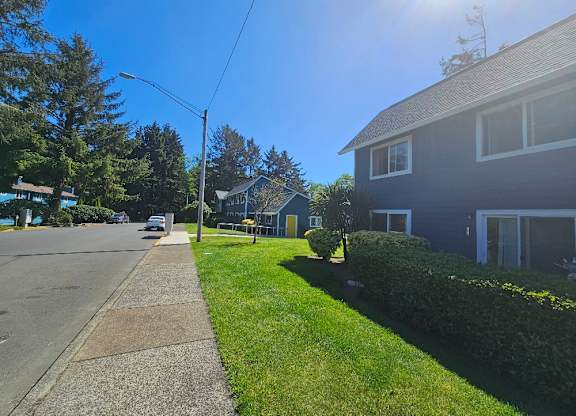 A sunny day on a residential street with a blue house on the right.