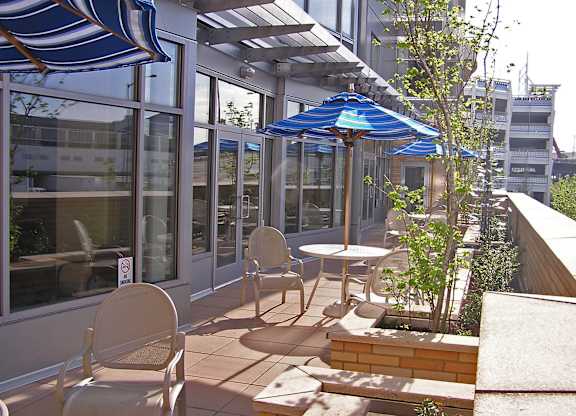 A patio with chairs and tables is covered by blue umbrellas.