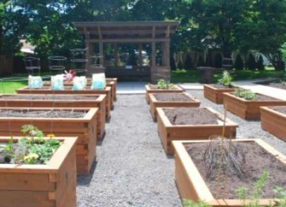 A garden with wooden boxes and plants.