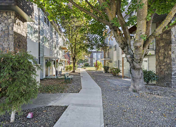 a tree lined sidewalk in front of a row of houses