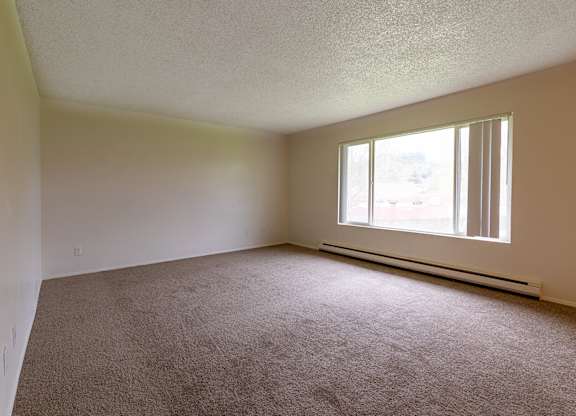 A room with a carpeted floor and a window.