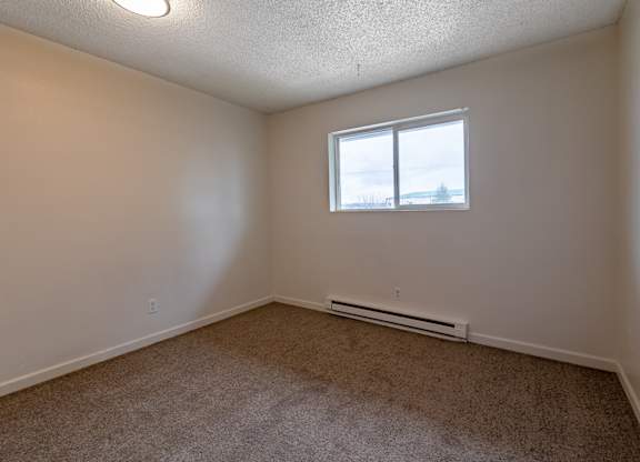 A room with a window and a carpeted floor.
