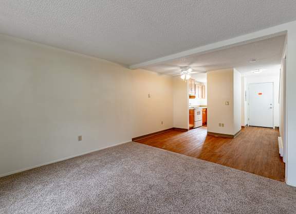 A large, empty room with a carpeted floor and wooden flooring in the background.