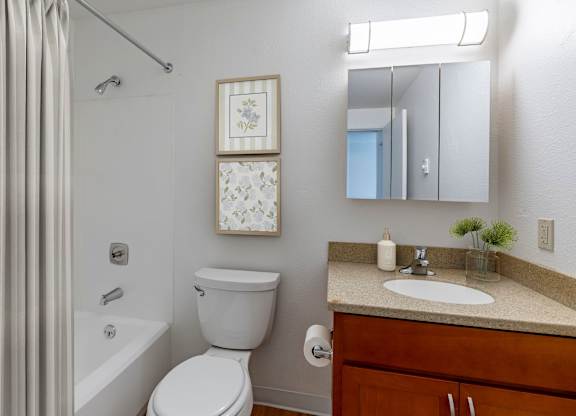 A bathroom with a toilet, sink, and shower.