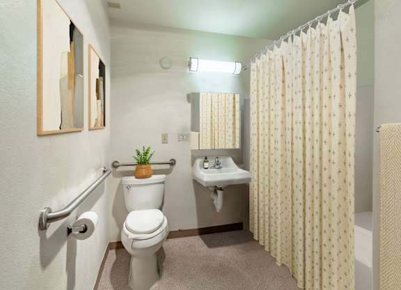 A bathroom with a toilet, sink, and shower curtain.