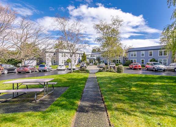 A sunny day at a park with a picnic table and cars parked in the background.