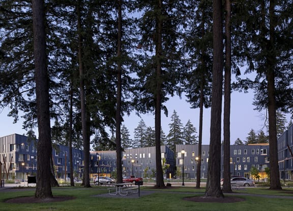 a row of apartment buildings with trees in the foreground