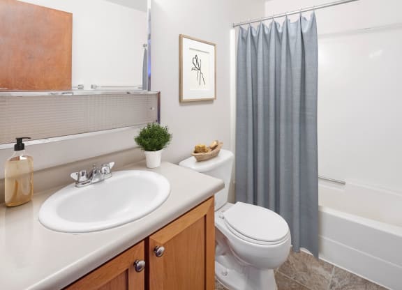 a bathroom with a toilet sink and tub with a shower curtain