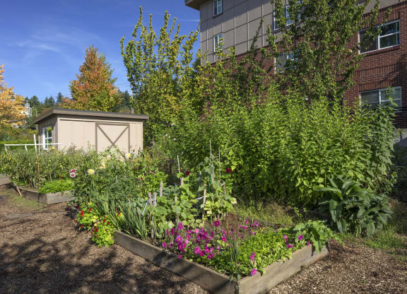 Terrace at Mount Scott Garden