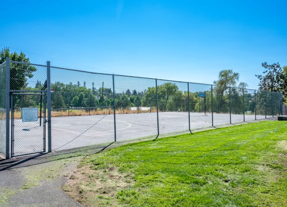 The Bluffs Basketball Court