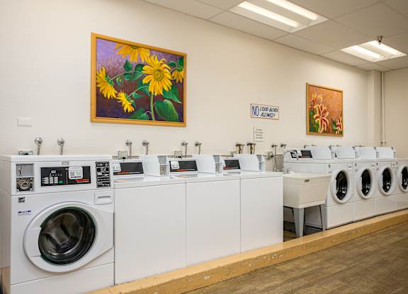 A row of washing machines in a laundromat.