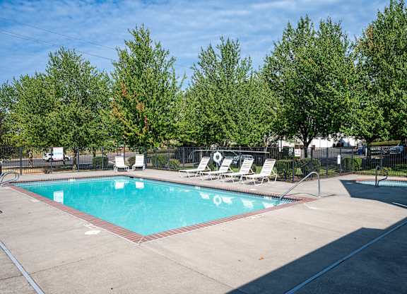A swimming pool surrounded by trees and lounge chairs.