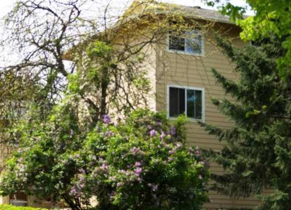 A house with a tree in front of it.