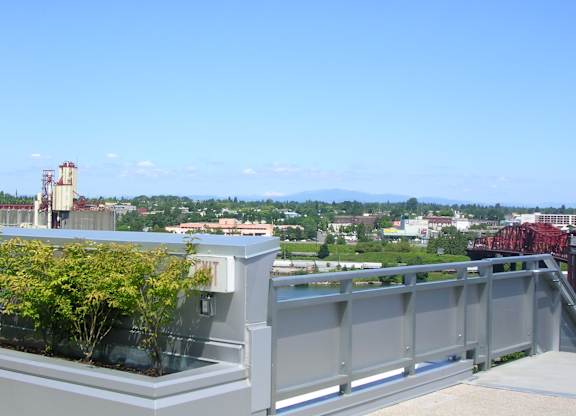 A view from a rooftop with a bridge in the distance.