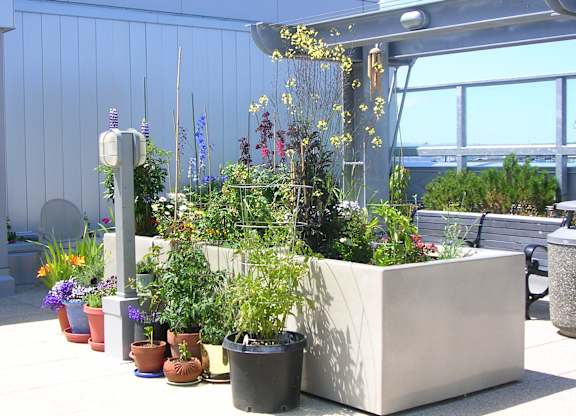 A large planter box with many different plants in it.