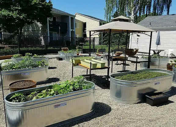 A garden with raised beds and a table with chairs is set up in a backyard.