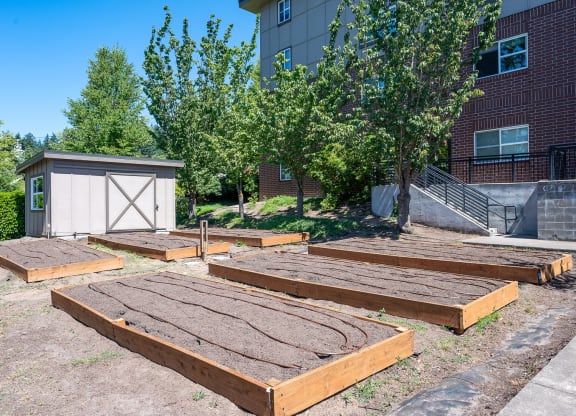Terrace at Mount Scott_Community Garden