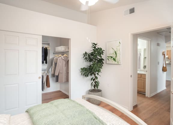 a bedroom with a bed and a closet with a plant