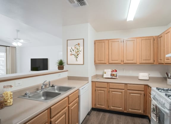 the preserve at ballantyne commons apartment kitchen