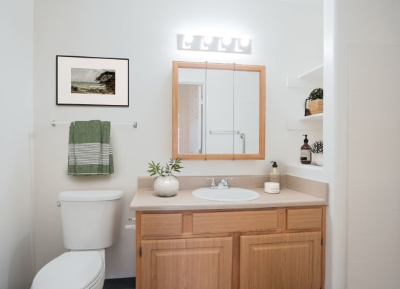 a bathroom with a sink and a mirror and a toilet