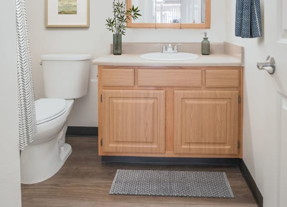 a bathroom with a sink and a toilet and a mirror