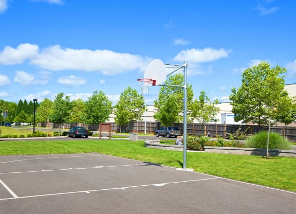 Prairie View Basketball Court
