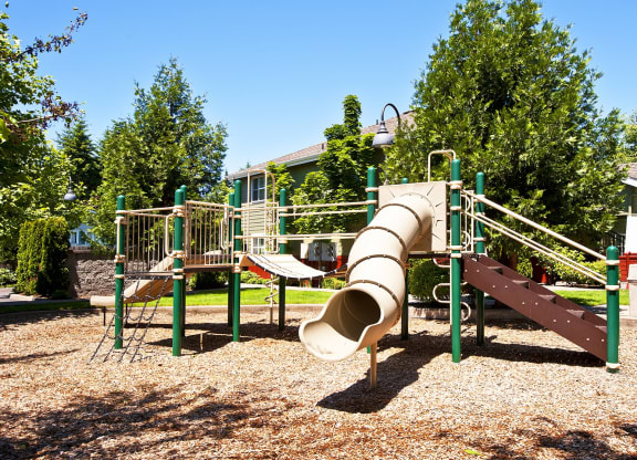 Green Leaf_Playground
