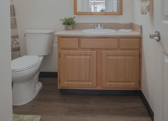 a bathroom with a toilet and a sink and a mirror