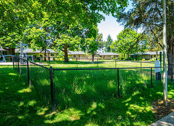 A green grassy area with a fence and trees.