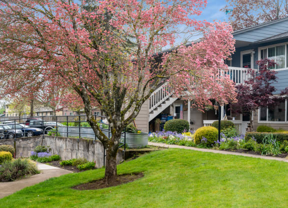 Canby Village