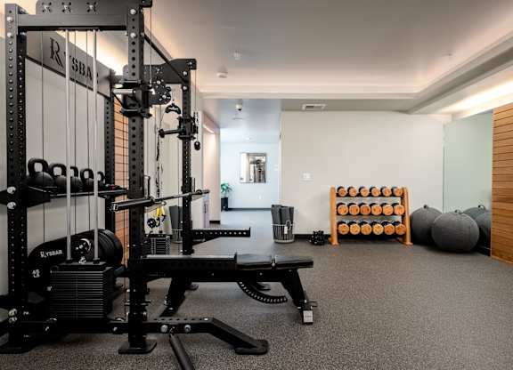 A gym with a squat rack, bench, and weights.