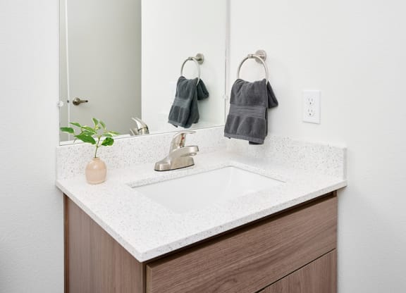 a bathroom with a sink and a large mirror