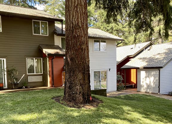 a house with a large tree in the front of it