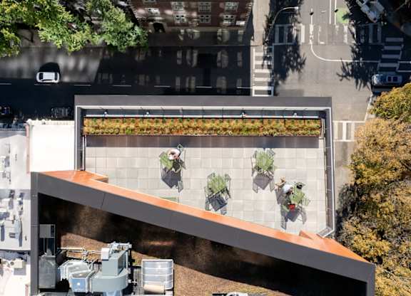 A green wall with plants on it.