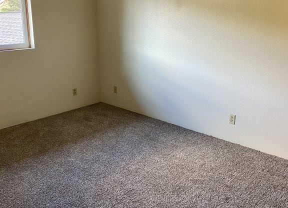 an empty room with carpet and a window