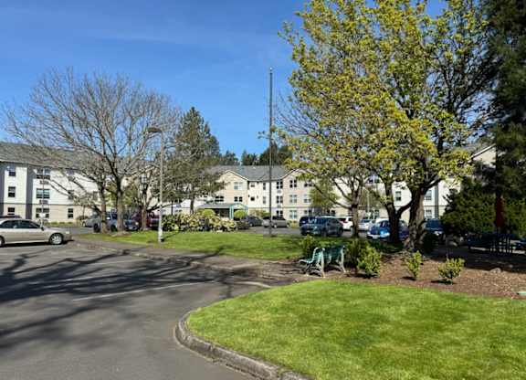 A sunny day in a residential area with cars parked and trees in bloom.