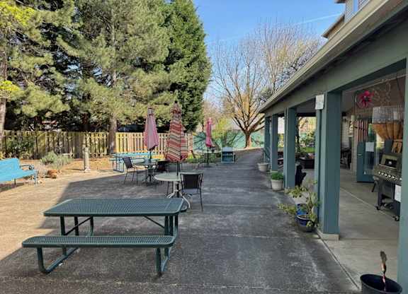 A sunny day at a park with picnic tables and chairs.